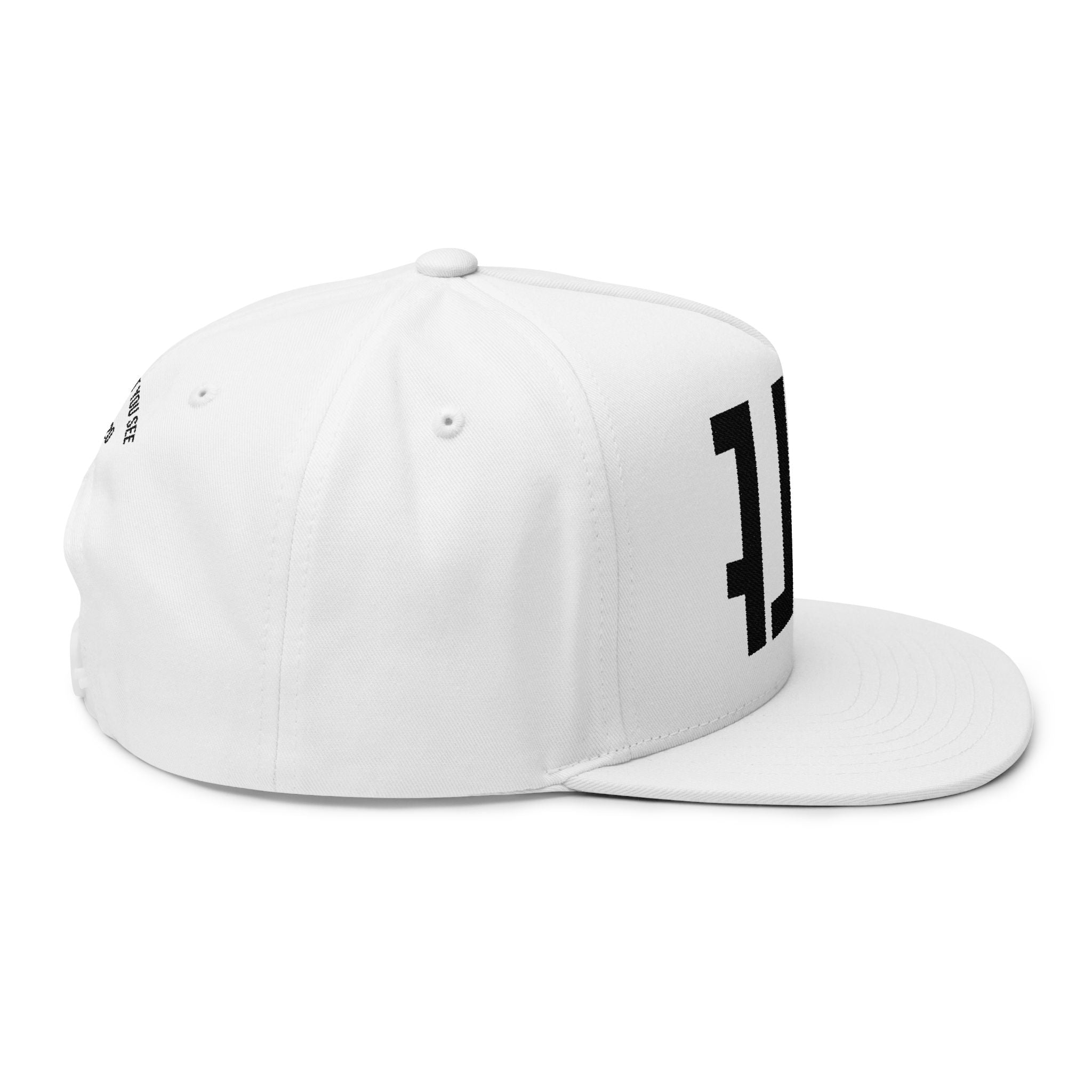 Beyond What You See Back Logo- Flat Bill Cap (Embroidery)